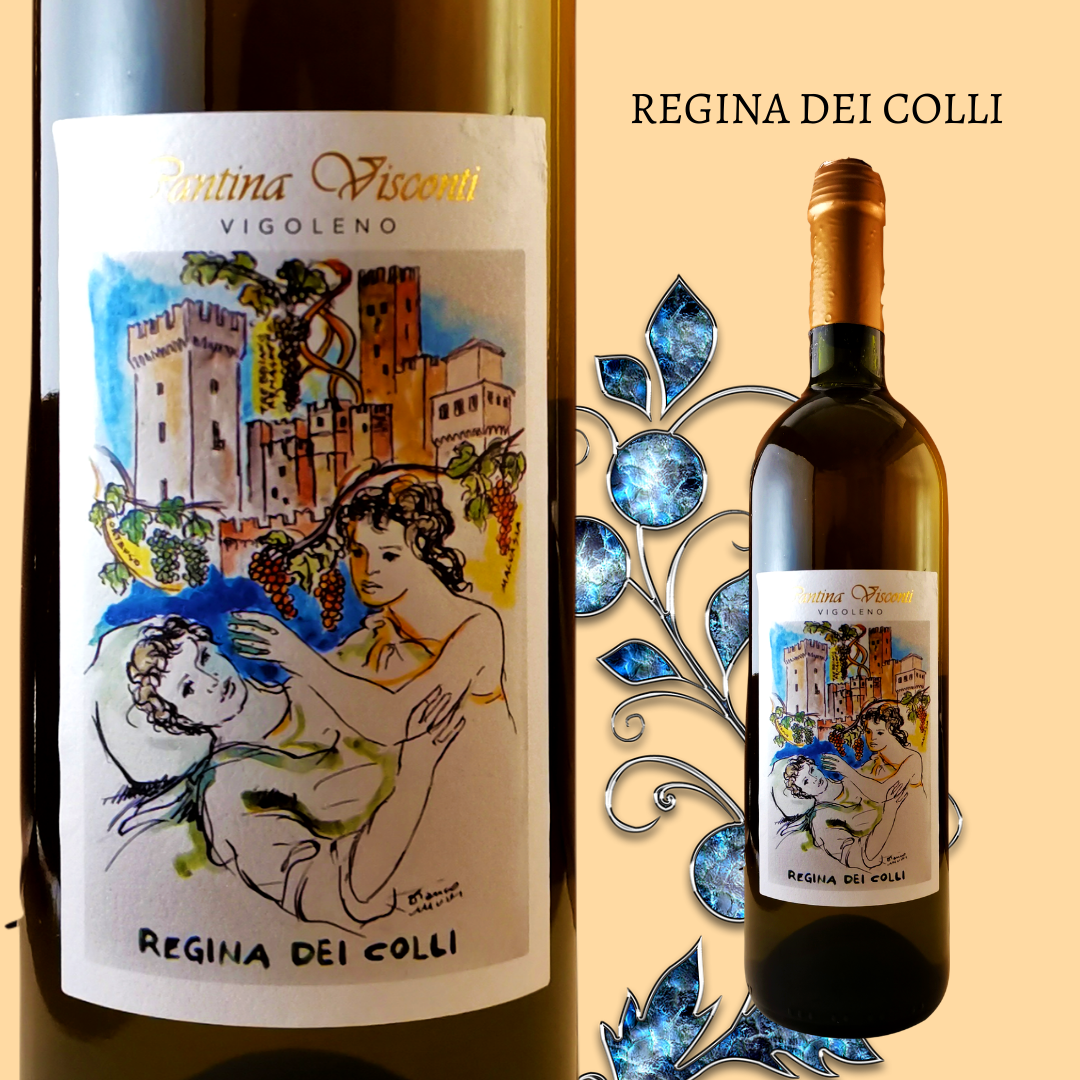 Società Agricola Visconti Massimo & C. — foto 4