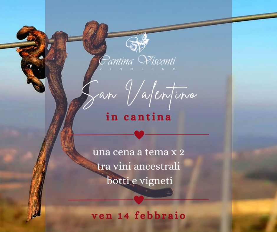 San Valentino piacenza parma Cantina Visconti Vigoleno